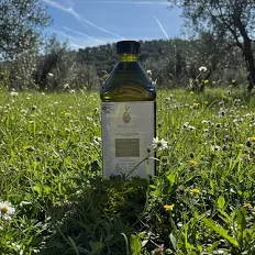 Img Oli d’oliva arbequina del Penedès