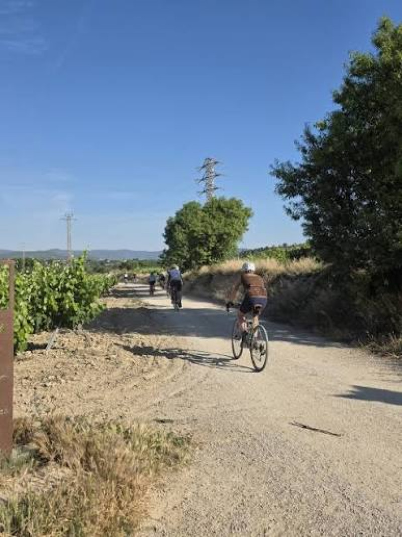 Caminos del Cava