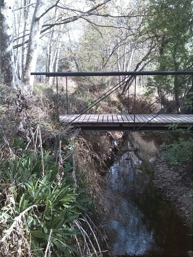 Camino del Río
