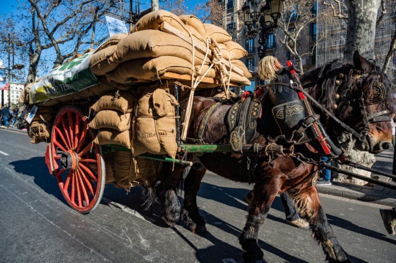 Tres Tombs de Sant Antoni