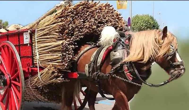 Tres Tombs de Sant Antoni