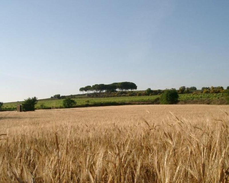Img Da Vilafranca ai Pujols
