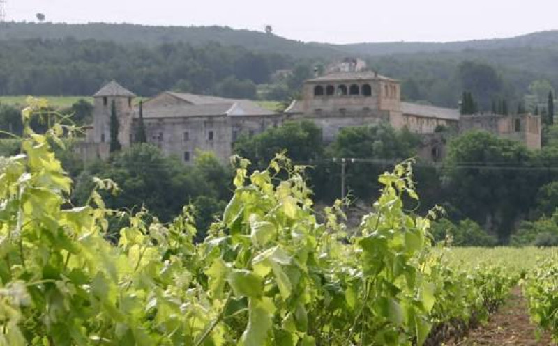 Img Da Vilafranca al castello di Penyafort (parco Foix)