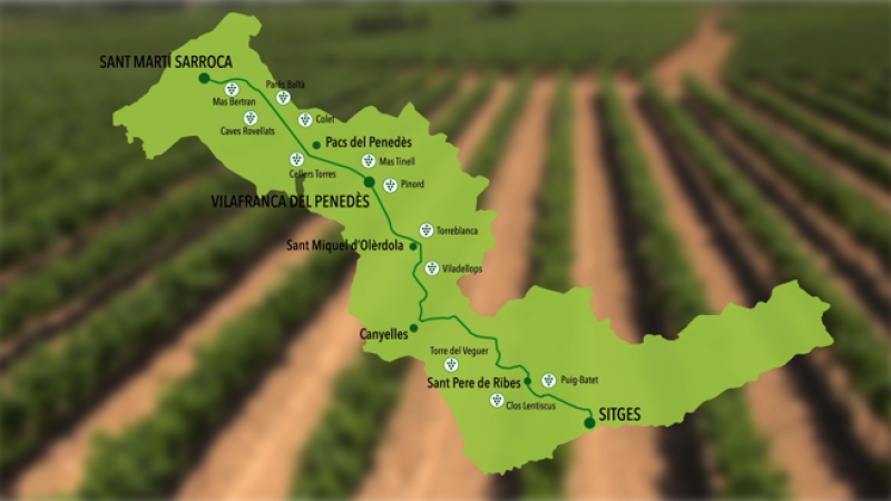 Img Camí del Vi (Wine Walk) de Vilafranca
