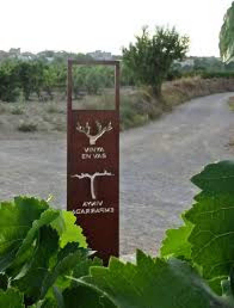 Camí del Vi – Wine Walk