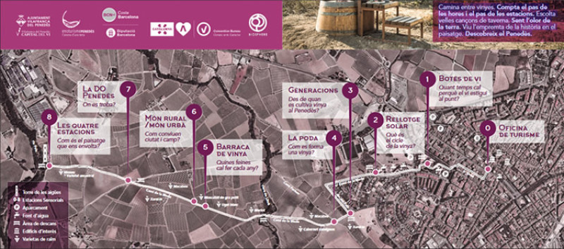 Img Passeggiata del vino