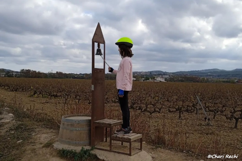 Camí del Vi (Wine Walk)