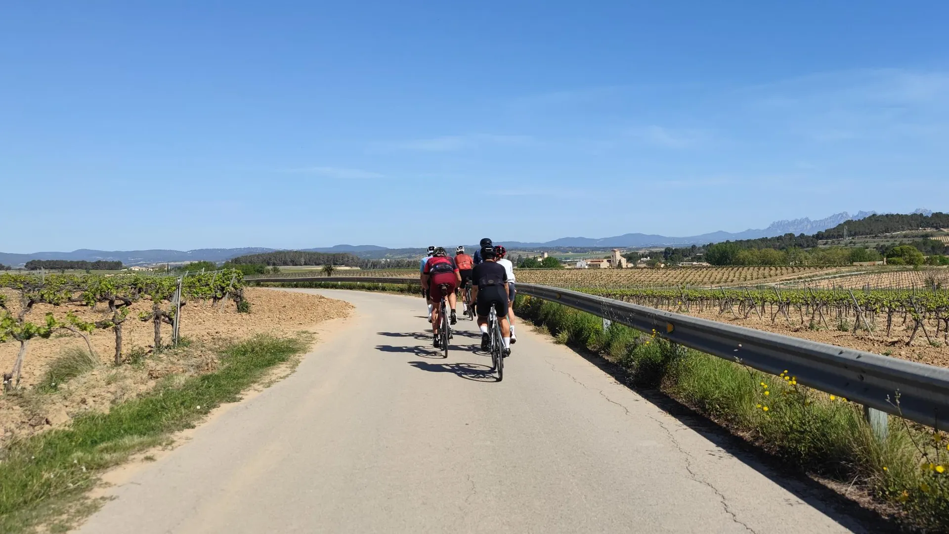Img Penedès 360 — Back Roads