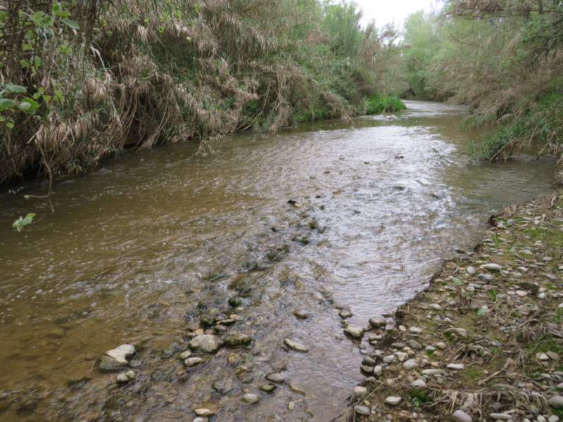 Rivière Anoia