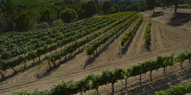 Img Via Augusta Penedès, sezioni 2 e 3: Sant Sadurní — Lavern — La Granada