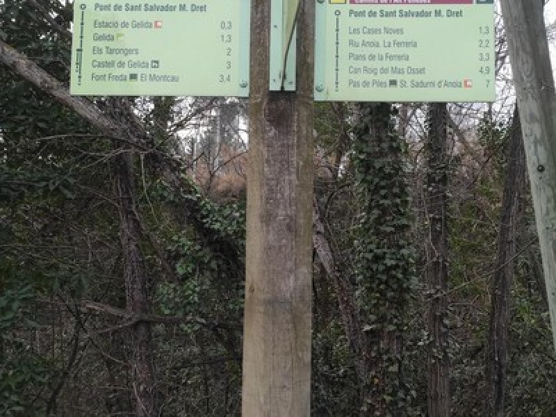Via Augusta Penedès — Straßenbahn 1: Gelida - Sant Sadurní d'Anoia
