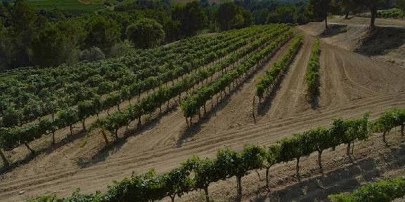 Via Augusta Penedès