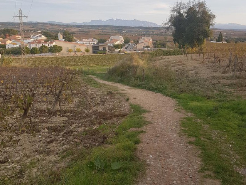 Via Augusta Penedès