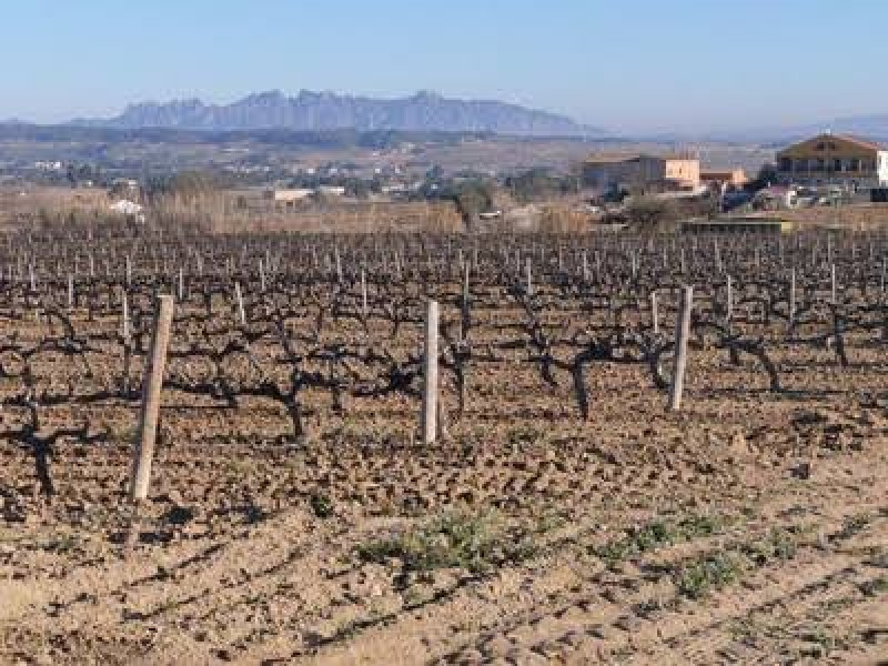 Via Augusta Penedès