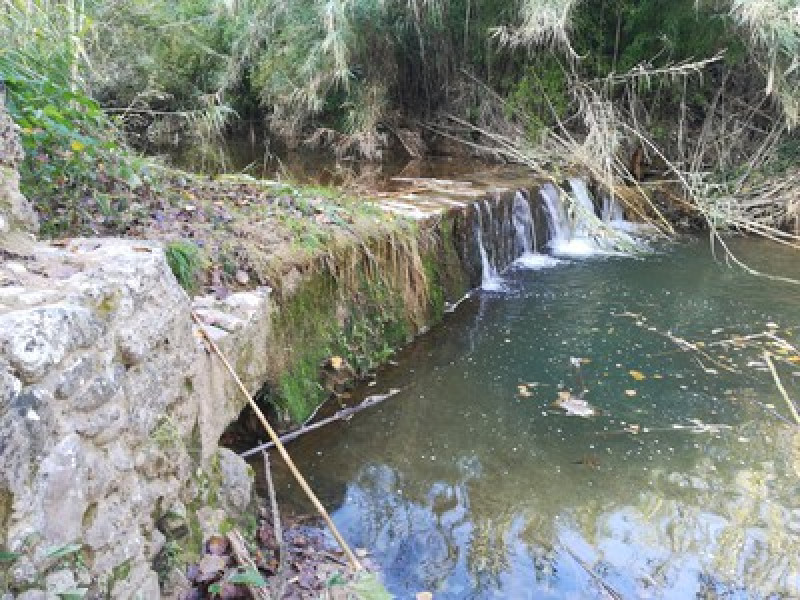 Senda del río — Sant Sadurní d'Anoia — Lavit