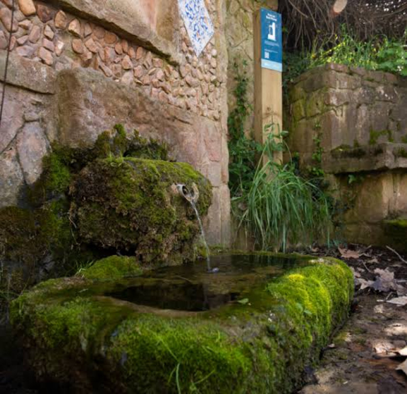EF17. De Sant Sadurní a Can Parellada per 11 fonts naturals