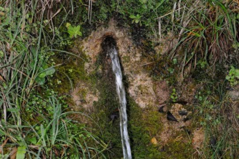 EF17. De Sant Sadurní a Can Parellada per 11 fonts naturals