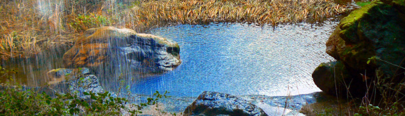 Img EF17. Da Sant Sadurní a Can Parellada attraverso 11 sorgenti naturali