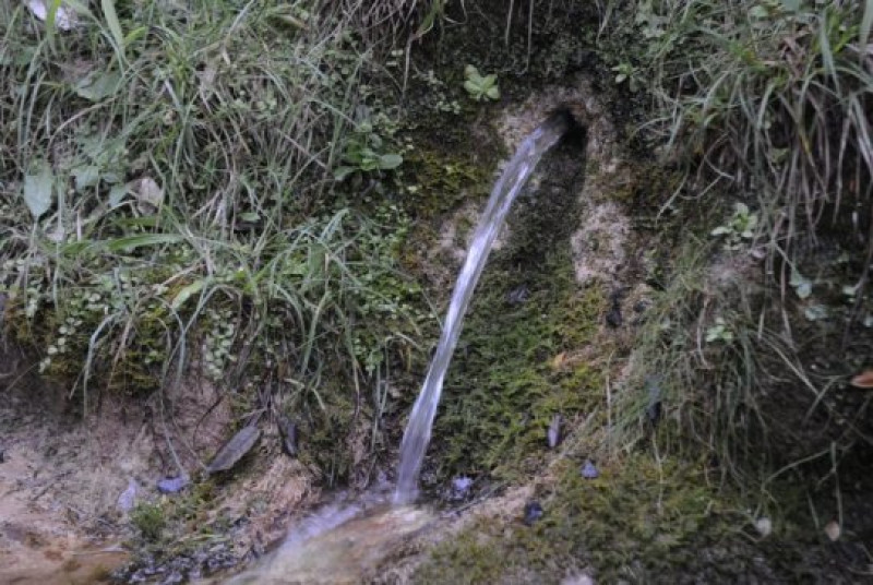 EF17. De Sant Sadurní a Can Parellada per 11 fonts naturals