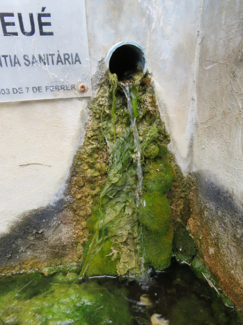 Font de Fideué