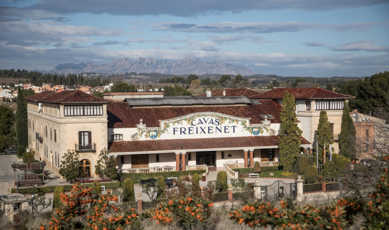 Img Bodegas Freixenet