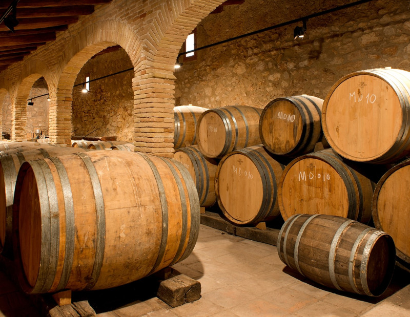 Bike & Taste — Pédalez à travers les vignobles et découvrez les vins du Penedès