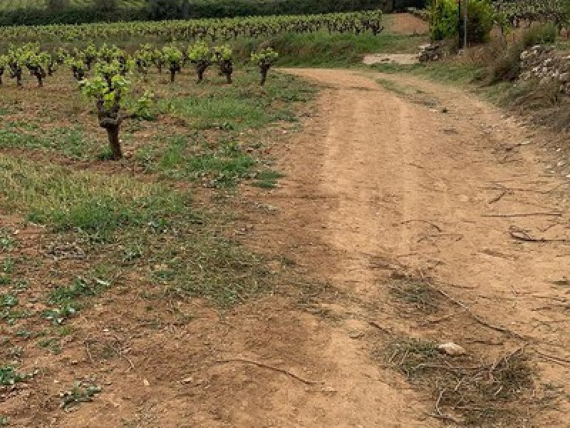 Percorsi Bikemap — Penedès Turisme
