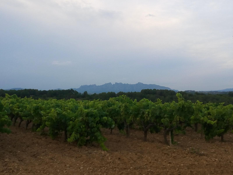 Img Bikemap routes — Penedès Turisme