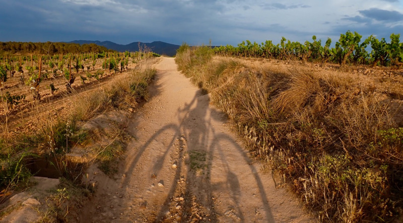 Penedès 360 — All Mountain