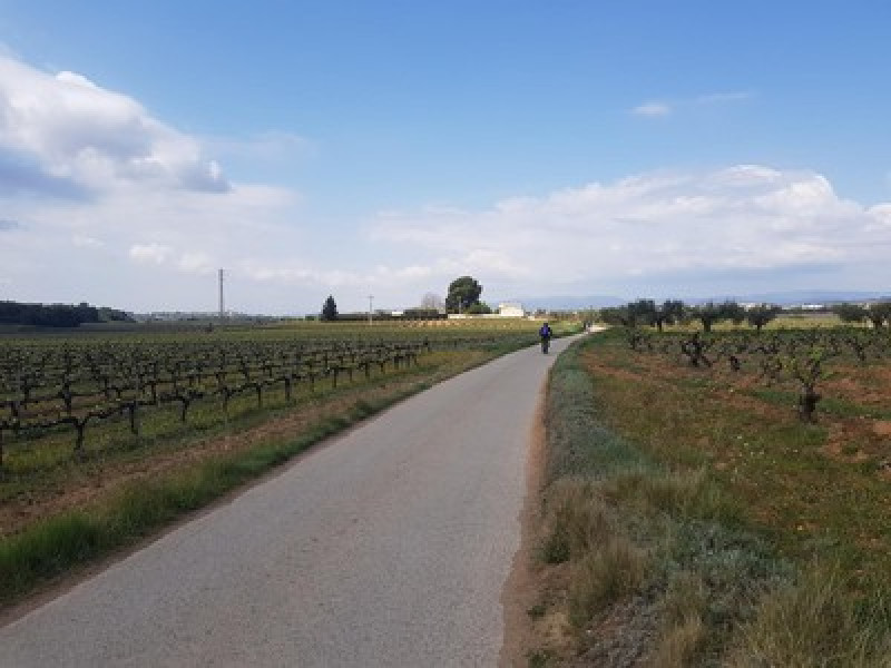 Penedès 360º — Cycle tour