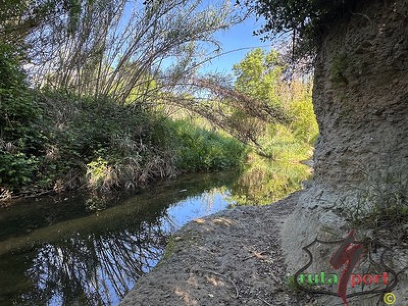 Img Sentiero del fiume Penedès: Sant Sadurní — Torrelavit