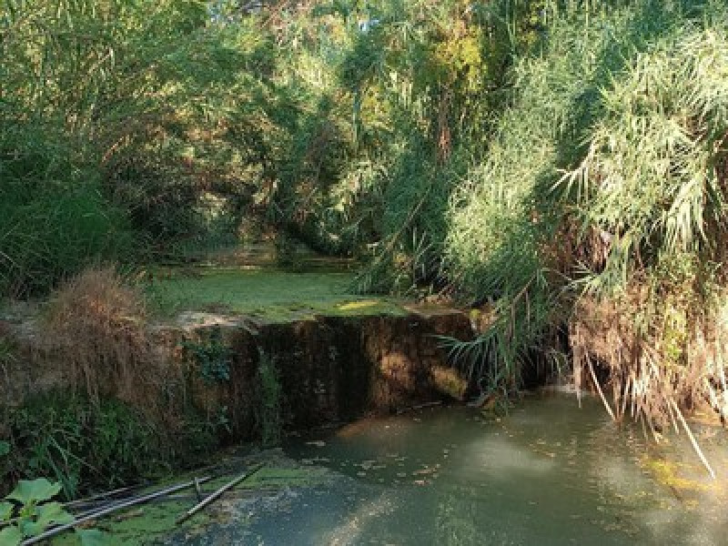 Sentiero del fiume Penedès: Sant Sadurní — Torrelavit