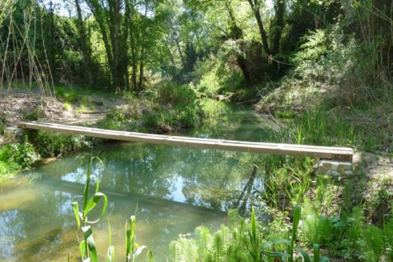 Sentiero del fiume Penedès: Sant Sadurní — Torrelavit