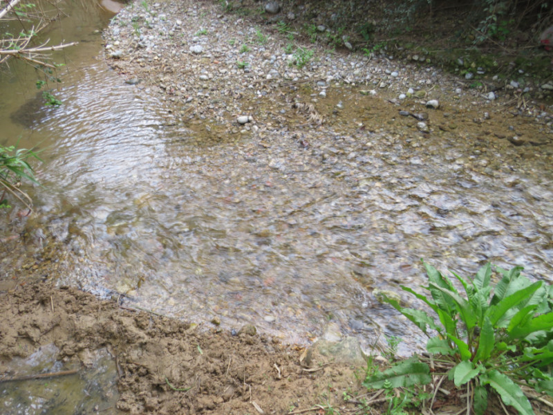 Rivière de Bitlles (Riudebitlles)