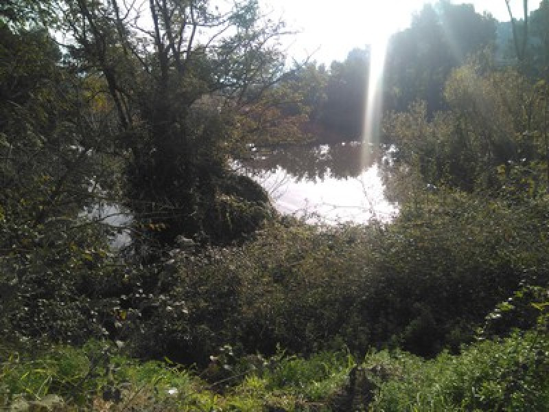 Rivière de Bitlles (Riudebitlles)