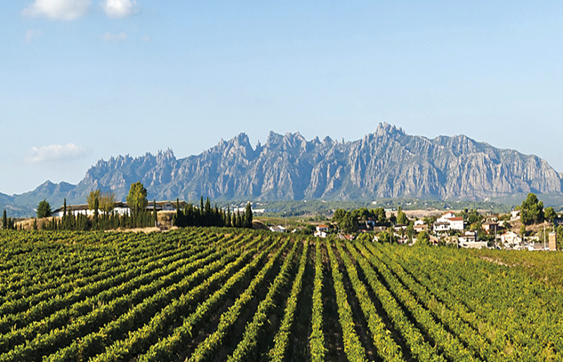 Caminos del Cava