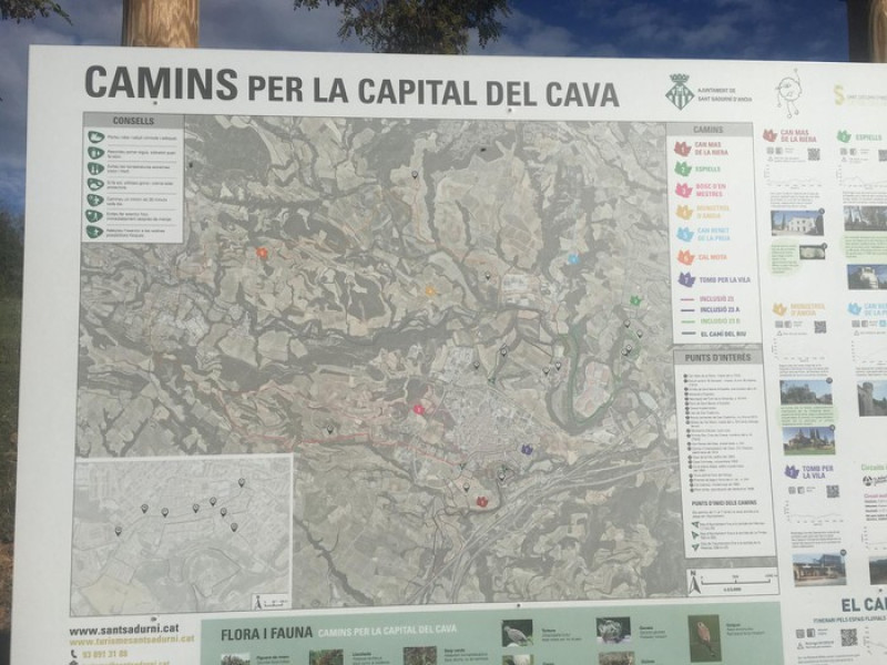 Caminos del Cava