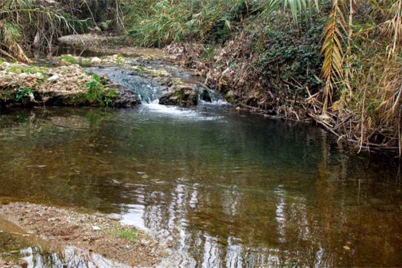 Saints Sadurní et Père de Riudebitlles sur le Camí de la Serra
