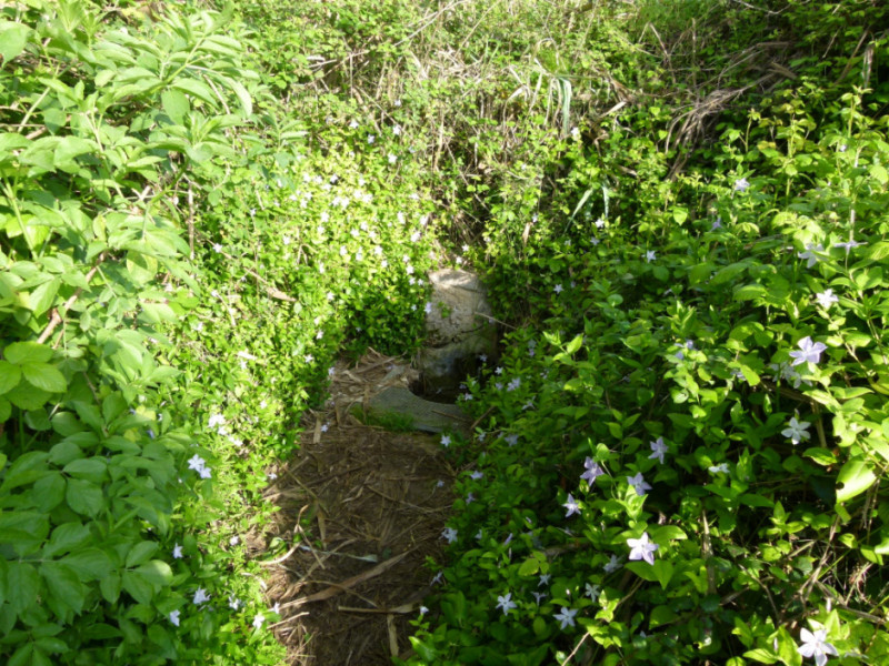 Fonte Cal Mota