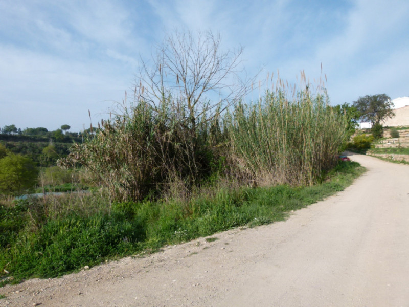Fonte Cal Mota