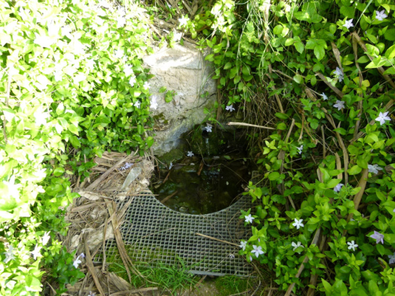 Img カルモタ噴水