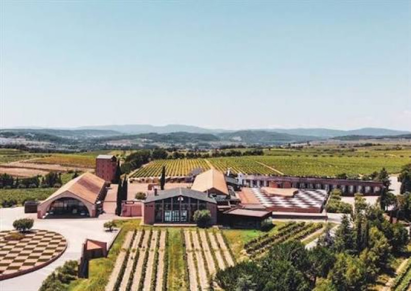 Cava Juvé und Camps