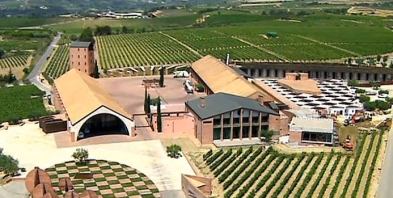 Cava Juvé und Camps