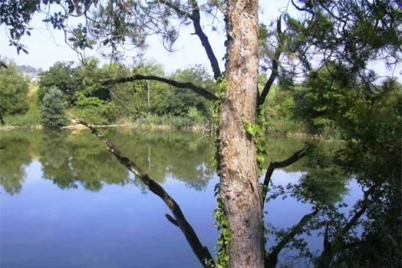 Lago Codorníu/Lago Raventós i Blanch