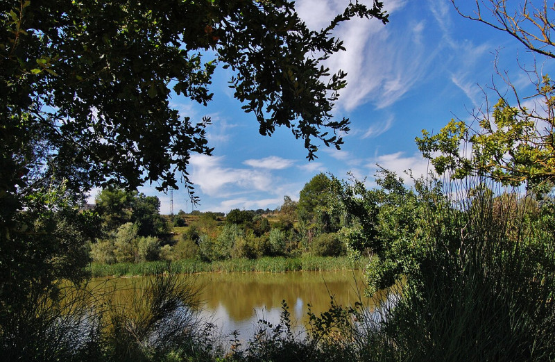 Lago Codorníu/Lago Raventós i Blanch