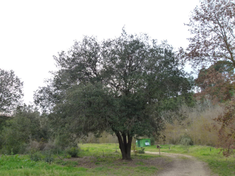 Settore Riera de Lavernó e Timba