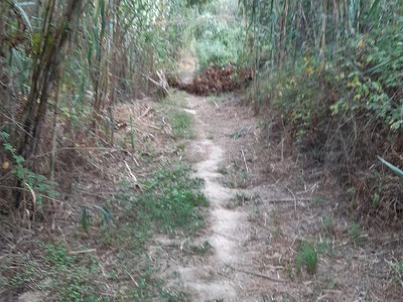 Settore Riera de Lavernó e Timba