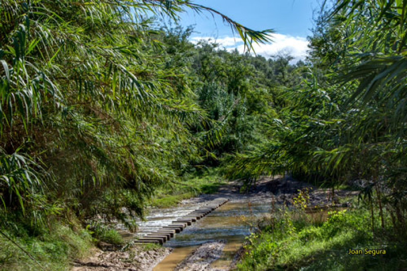 Le chemin de la rivière