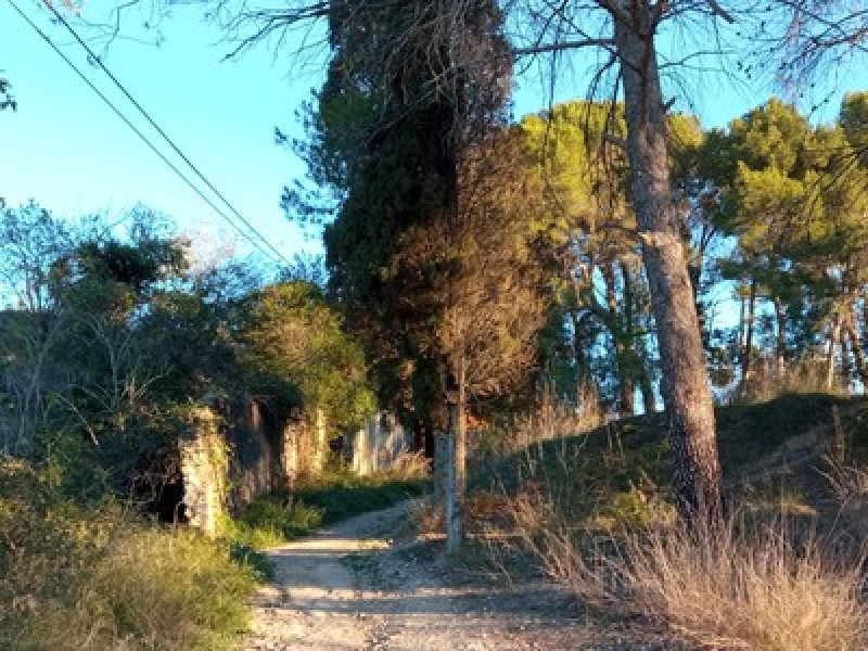 Sant Sadurní — Molí d'en Cardús — Can Catassús