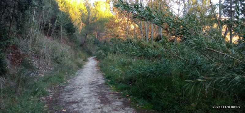 Sant Sadurní — Molí d'en Cardús — Can Catassús